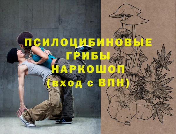 гидропоника Белокуриха